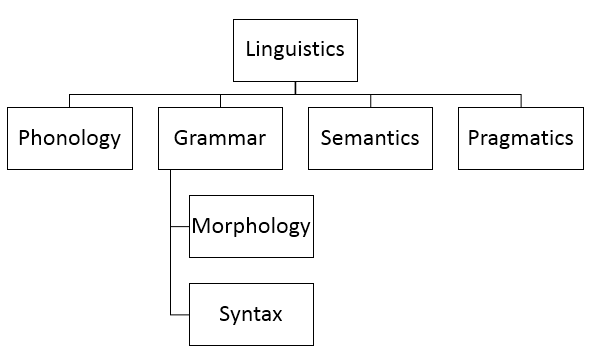 Levels of language